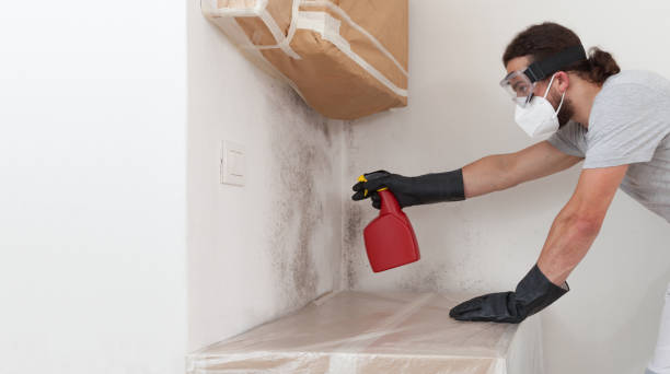 Professional Attic Mold Remediation technician working in Drake, CO