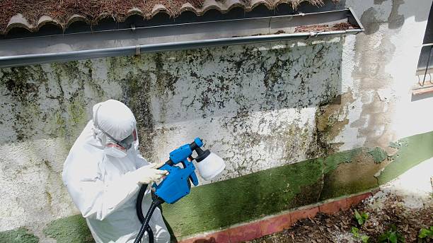 Top rated local Attic Mold Remediation specialists in Drake, CO